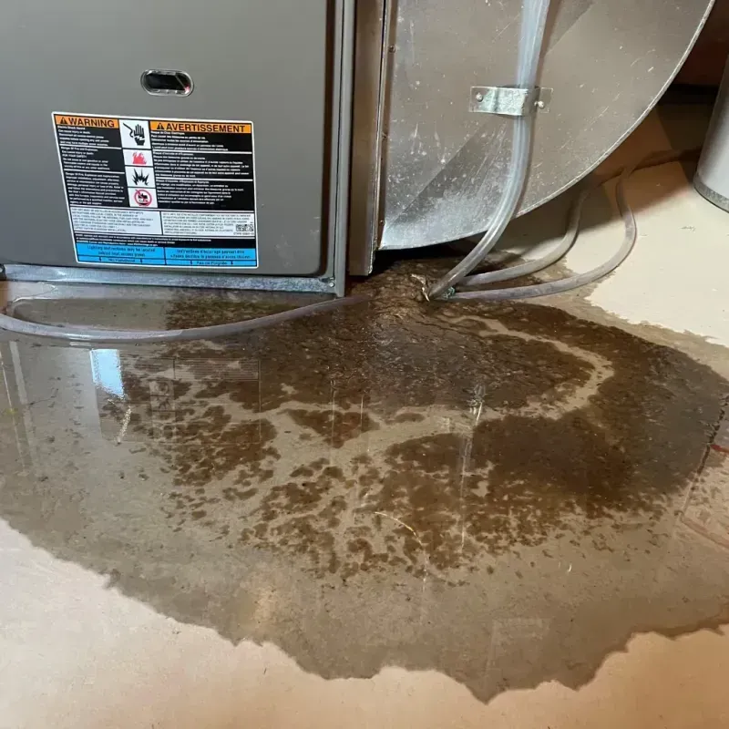 Appliance Leak Cleanup in Fort Yates, ND